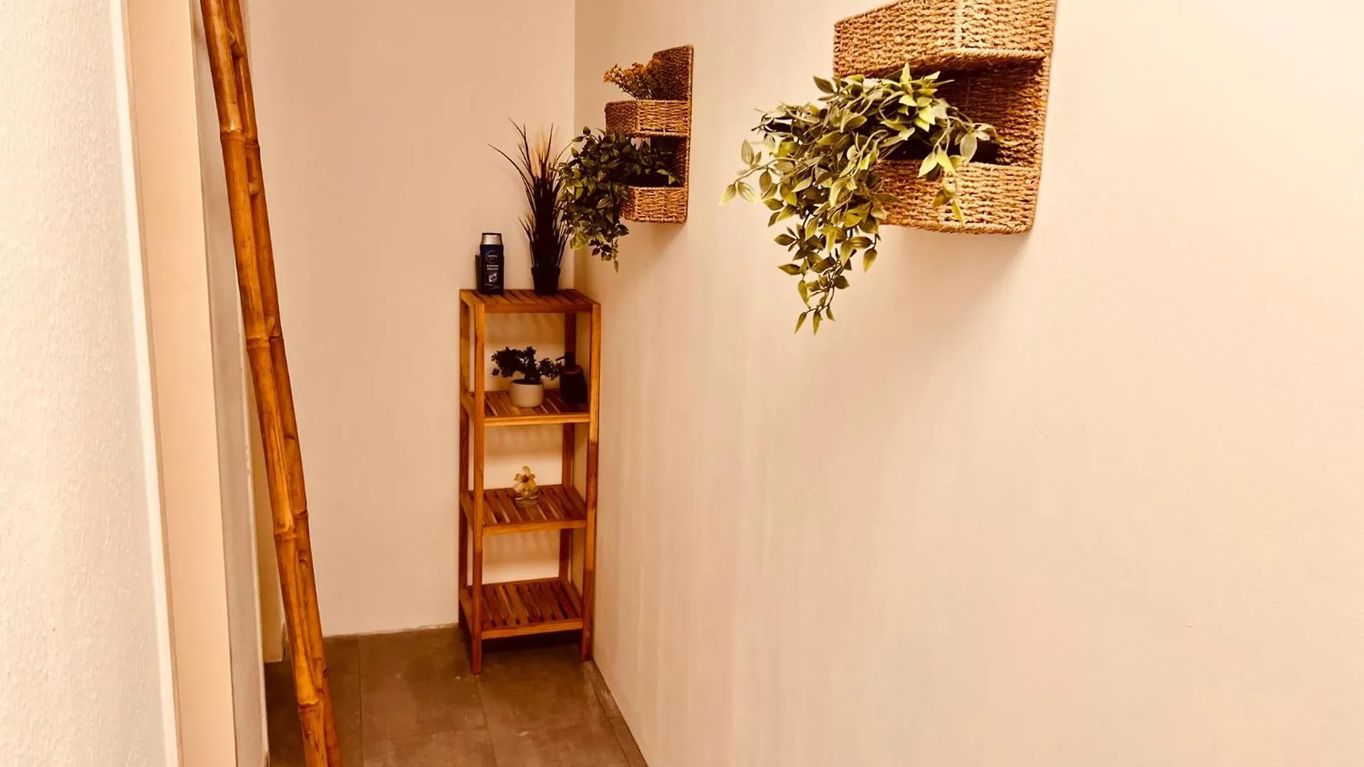 Stylish Apartment With Beautiful Ambiance Colonia